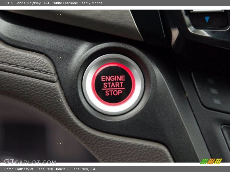White Diamond Pearl / Mocha 2019 Honda Odyssey EX-L