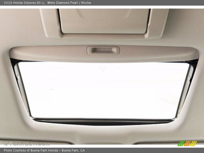 White Diamond Pearl / Mocha 2019 Honda Odyssey EX-L