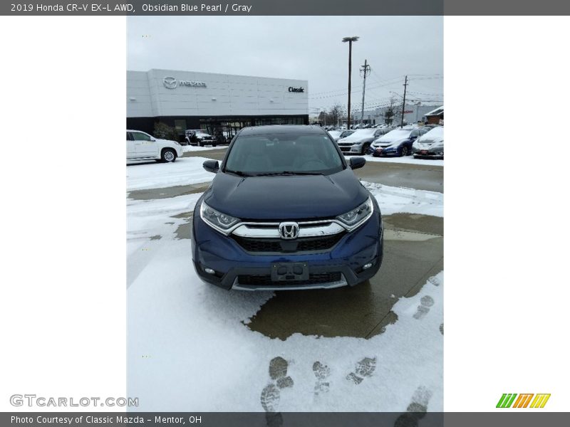 Obsidian Blue Pearl / Gray 2019 Honda CR-V EX-L AWD