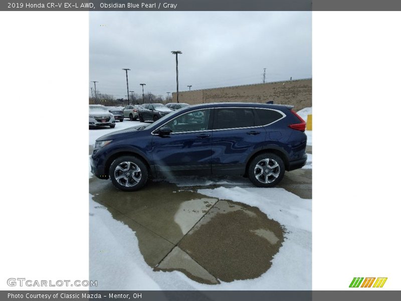 Obsidian Blue Pearl / Gray 2019 Honda CR-V EX-L AWD