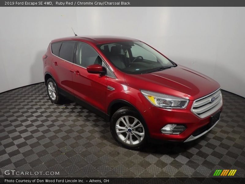 Ruby Red / Chromite Gray/Charcoal Black 2019 Ford Escape SE 4WD