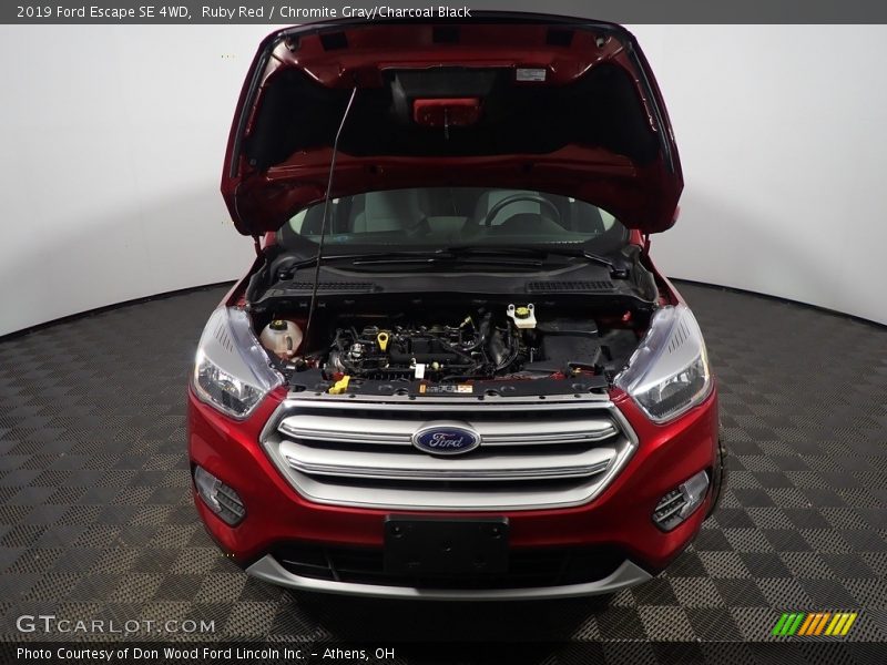 Ruby Red / Chromite Gray/Charcoal Black 2019 Ford Escape SE 4WD