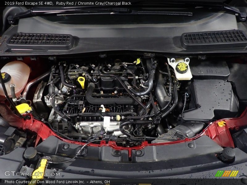 Ruby Red / Chromite Gray/Charcoal Black 2019 Ford Escape SE 4WD