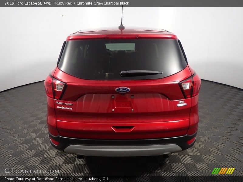 Ruby Red / Chromite Gray/Charcoal Black 2019 Ford Escape SE 4WD