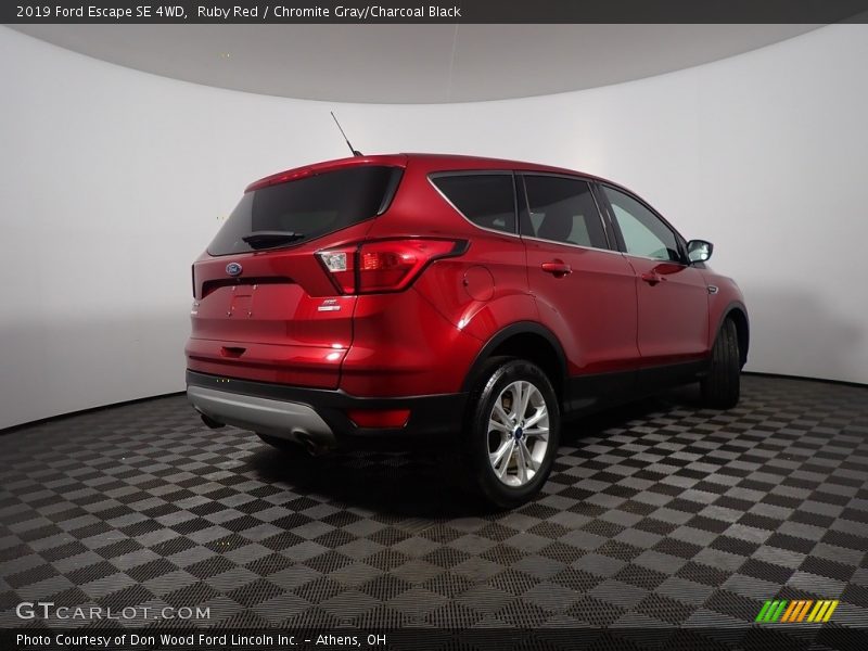 Ruby Red / Chromite Gray/Charcoal Black 2019 Ford Escape SE 4WD