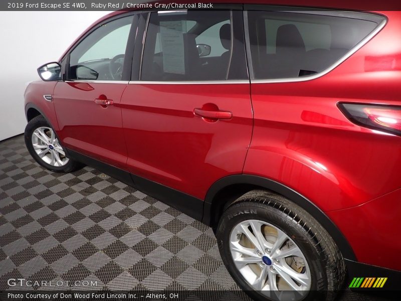 Ruby Red / Chromite Gray/Charcoal Black 2019 Ford Escape SE 4WD