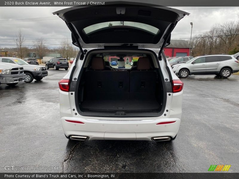 White Frost Tricoat / Chestnut 2020 Buick Enclave Avenir