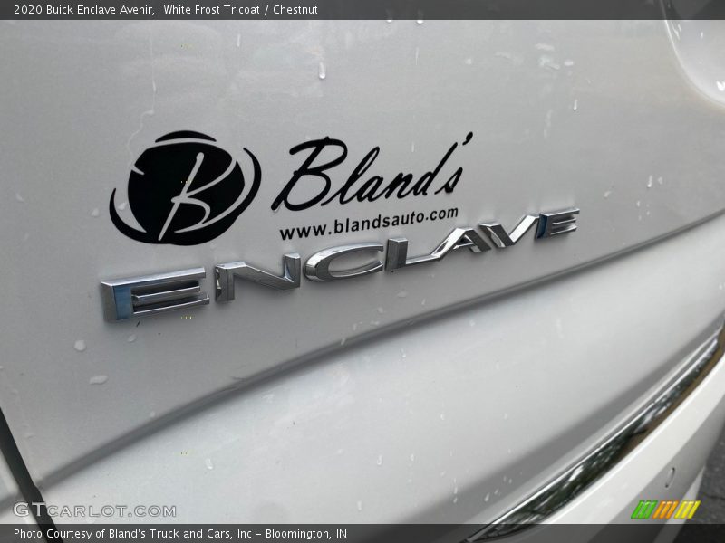 White Frost Tricoat / Chestnut 2020 Buick Enclave Avenir