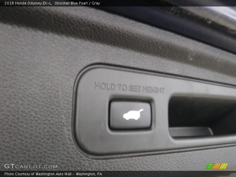 Obsidian Blue Pearl / Gray 2018 Honda Odyssey EX-L