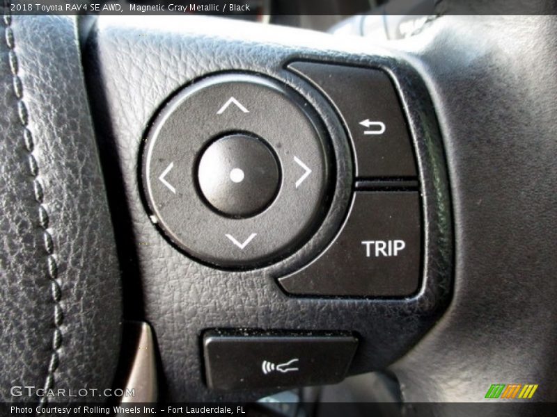 Magnetic Gray Metallic / Black 2018 Toyota RAV4 SE AWD
