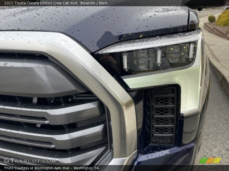 Blueprint / Black 2022 Toyota Tundra Limited Crew Cab 4x4
