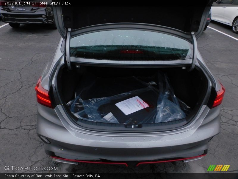 Steel Gray / Black 2022 Kia Forte GT