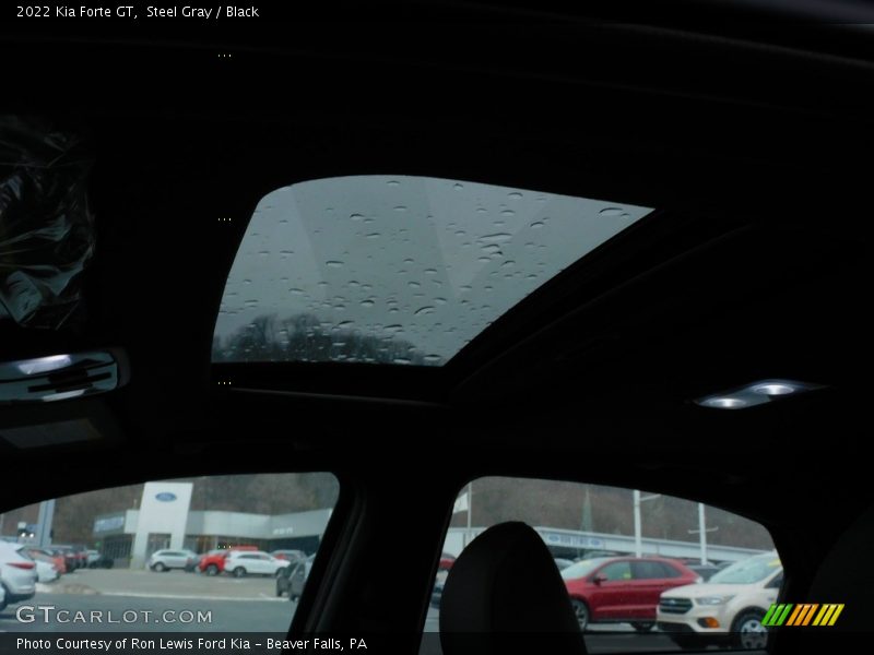 Steel Gray / Black 2022 Kia Forte GT