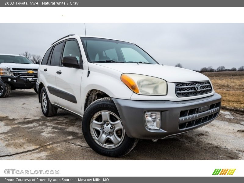 Natural White / Gray 2003 Toyota RAV4