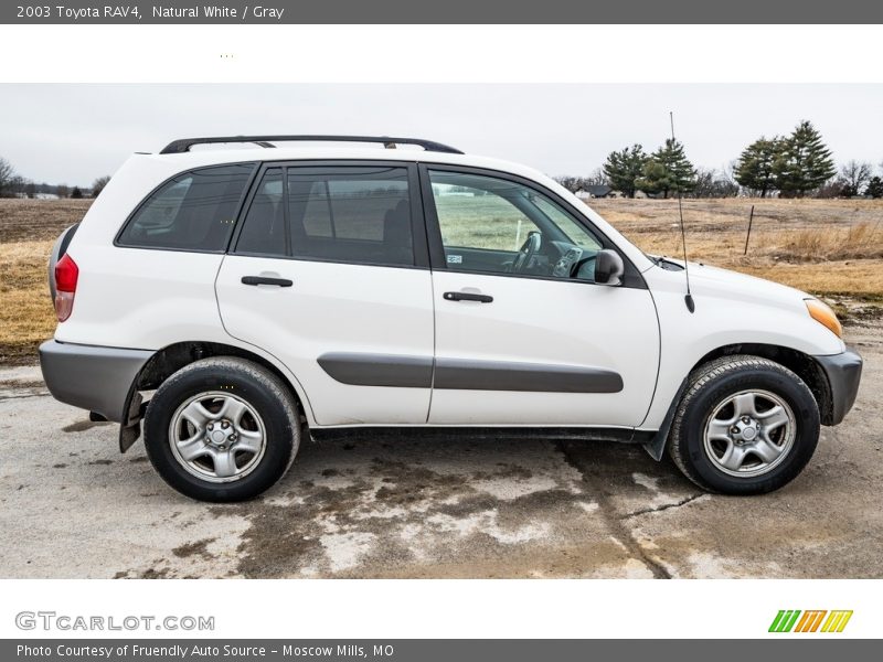 Natural White / Gray 2003 Toyota RAV4