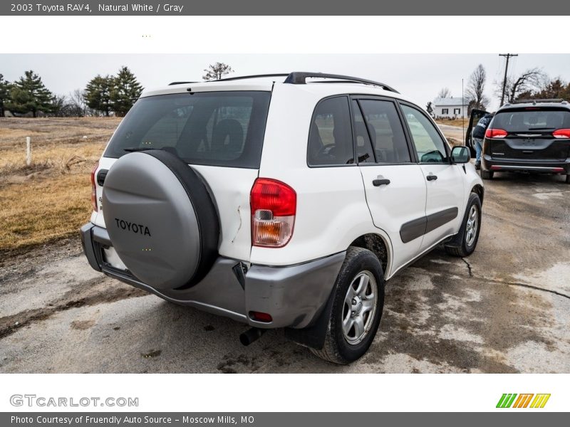 Natural White / Gray 2003 Toyota RAV4