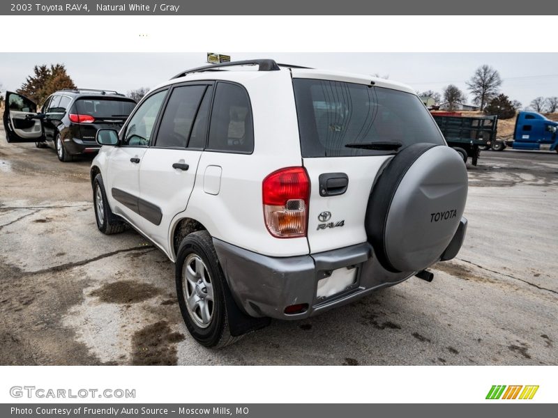 Natural White / Gray 2003 Toyota RAV4