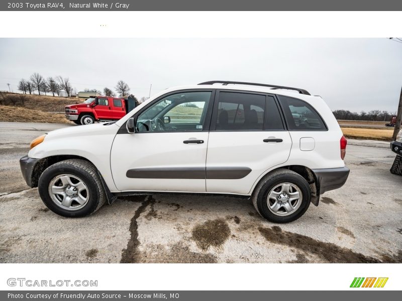 Natural White / Gray 2003 Toyota RAV4