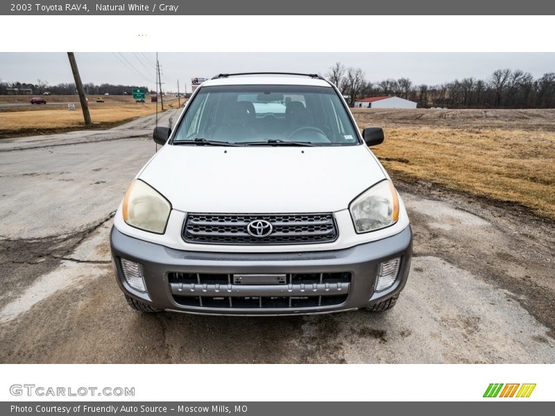 Natural White / Gray 2003 Toyota RAV4