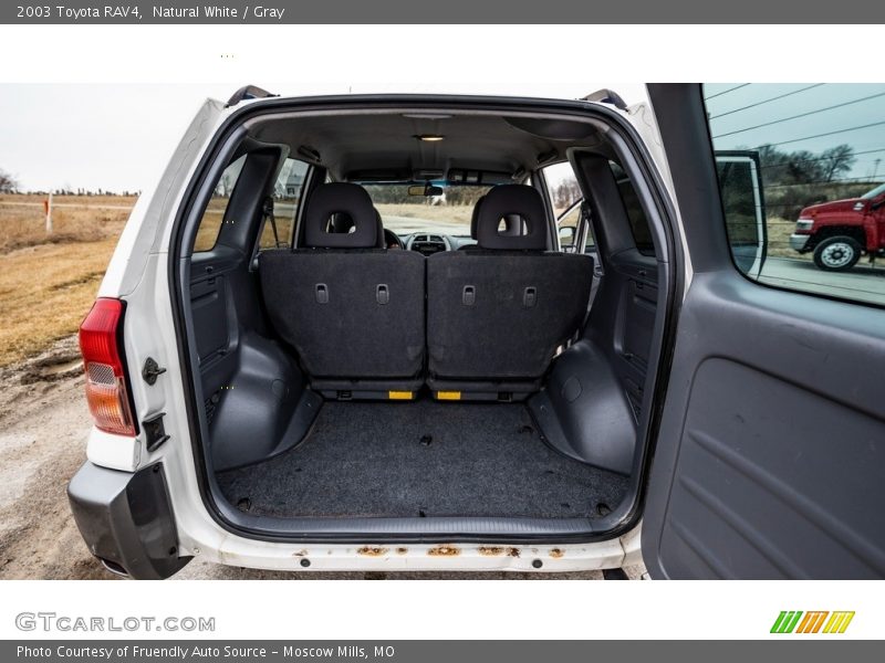 Natural White / Gray 2003 Toyota RAV4