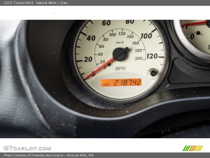 Natural White / Gray 2003 Toyota RAV4