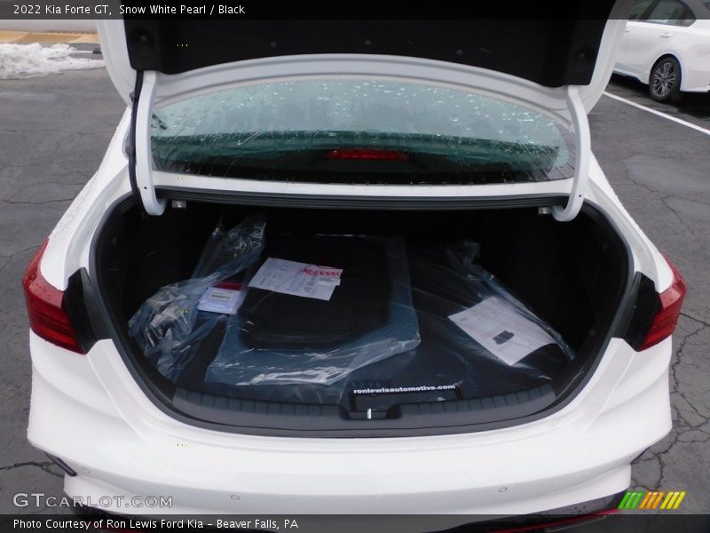 Snow White Pearl / Black 2022 Kia Forte GT