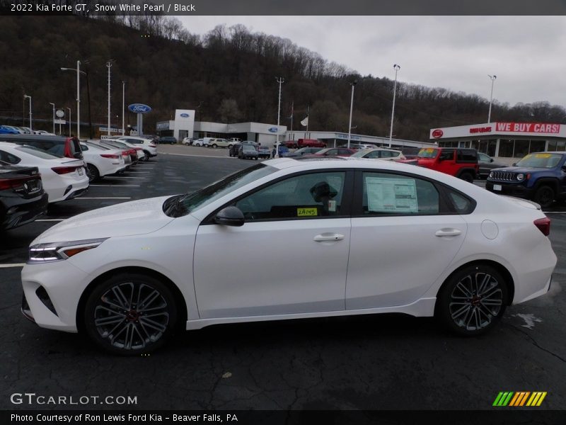 Snow White Pearl / Black 2022 Kia Forte GT