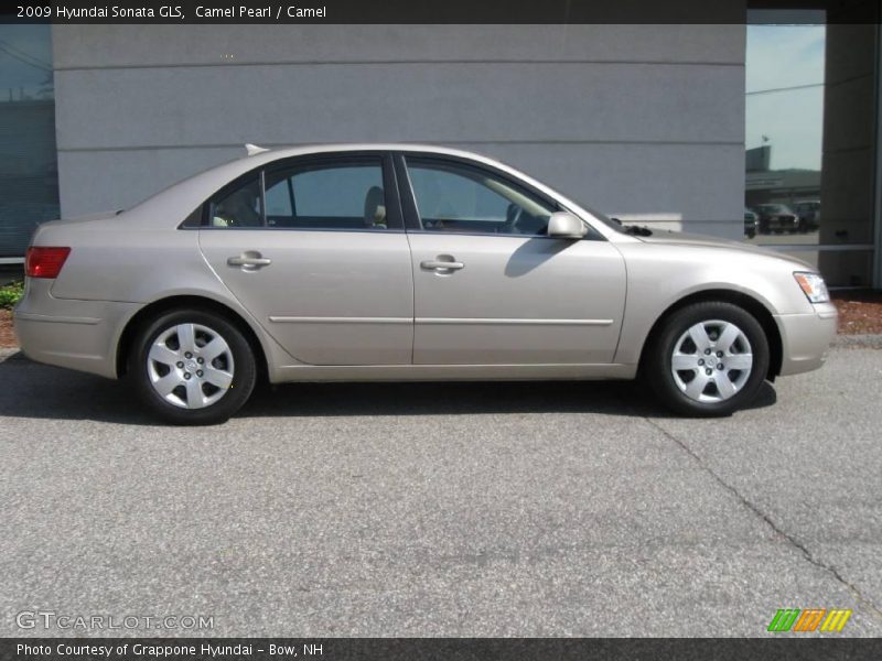 Camel Pearl / Camel 2009 Hyundai Sonata GLS
