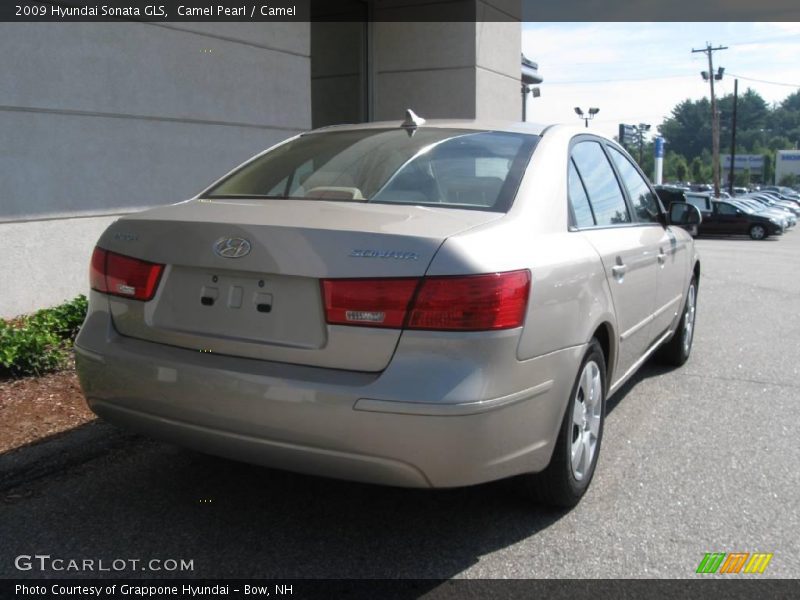 Camel Pearl / Camel 2009 Hyundai Sonata GLS