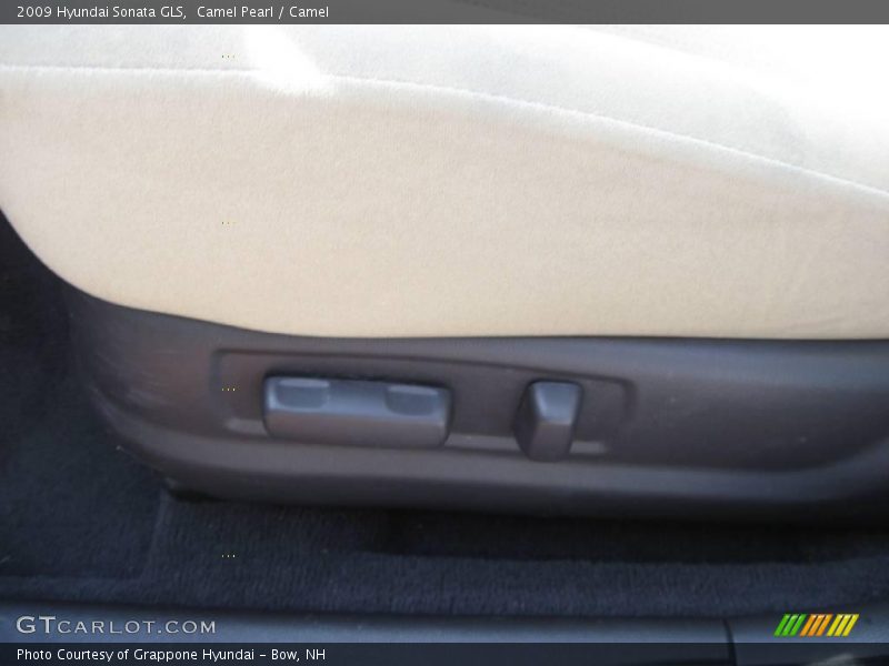 Camel Pearl / Camel 2009 Hyundai Sonata GLS