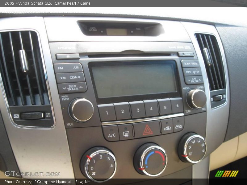 Camel Pearl / Camel 2009 Hyundai Sonata GLS