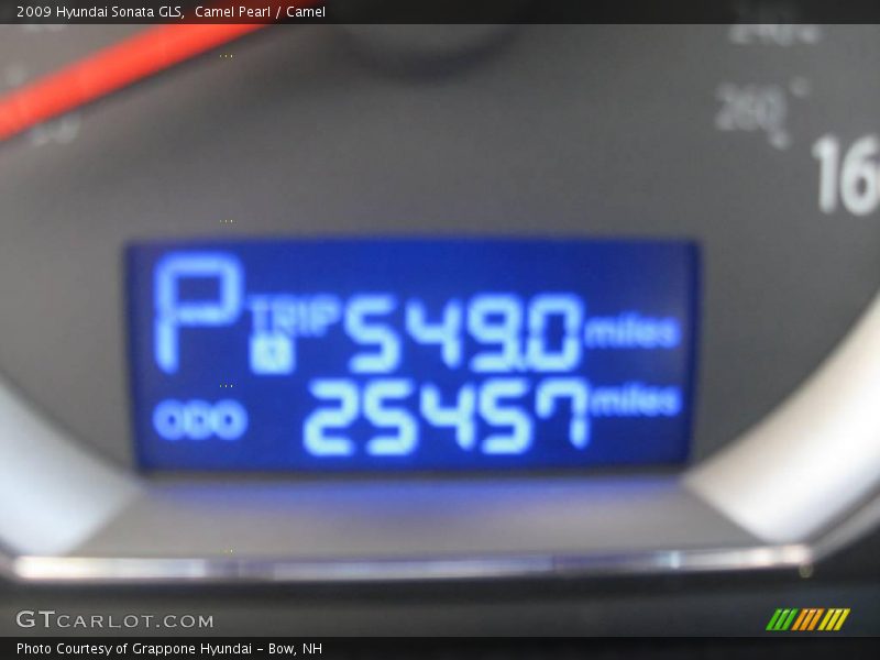 Camel Pearl / Camel 2009 Hyundai Sonata GLS