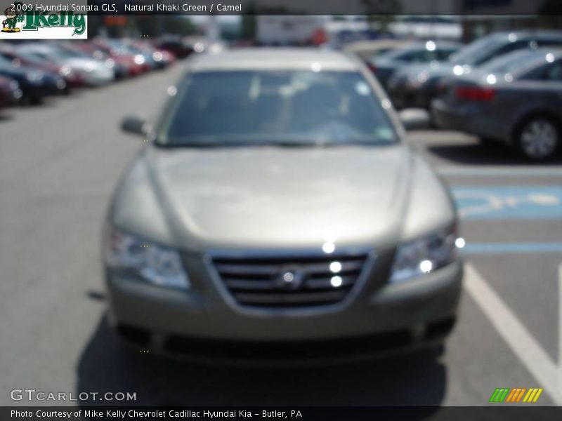 Natural Khaki Green / Camel 2009 Hyundai Sonata GLS