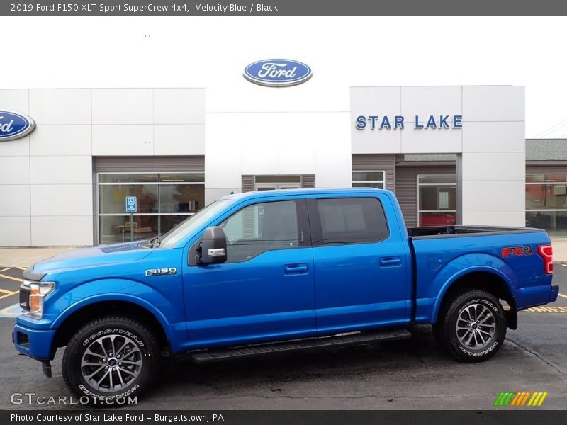 Velocity Blue / Black 2019 Ford F150 XLT Sport SuperCrew 4x4
