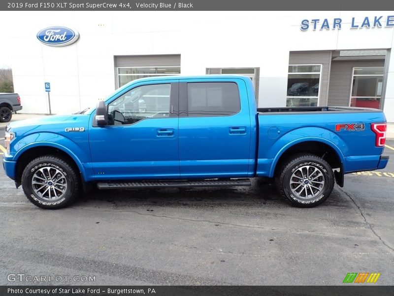 Velocity Blue / Black 2019 Ford F150 XLT Sport SuperCrew 4x4