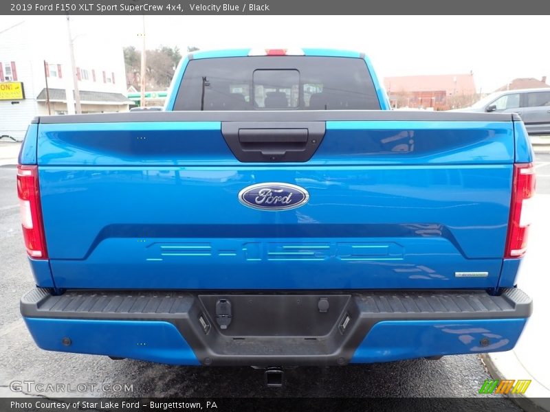 Velocity Blue / Black 2019 Ford F150 XLT Sport SuperCrew 4x4
