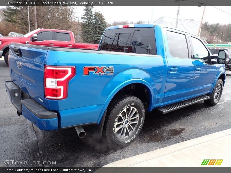 Velocity Blue / Black 2019 Ford F150 XLT Sport SuperCrew 4x4