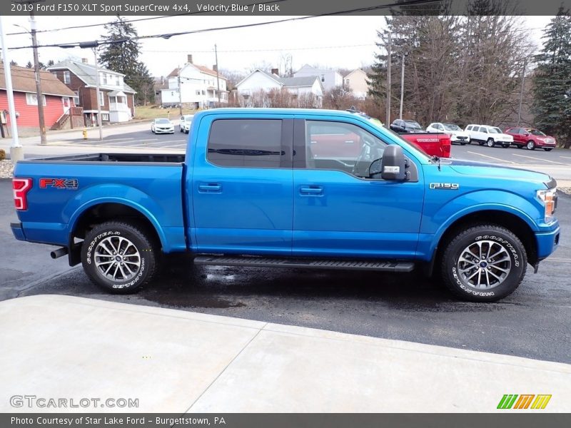 Velocity Blue / Black 2019 Ford F150 XLT Sport SuperCrew 4x4