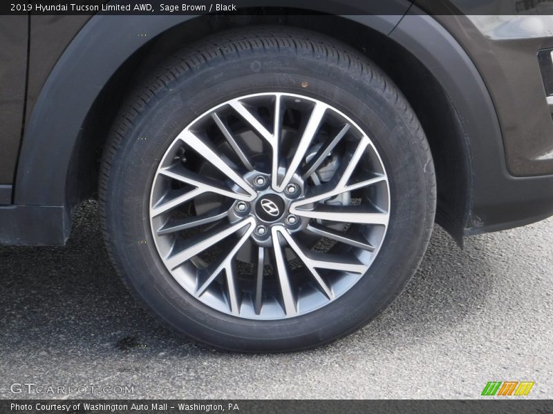 Sage Brown / Black 2019 Hyundai Tucson Limited AWD