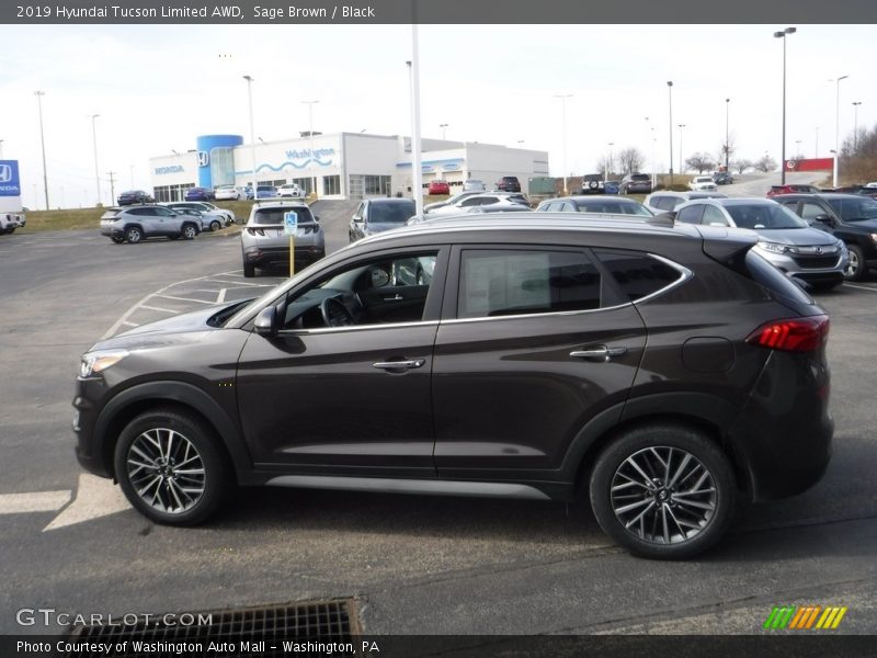 Sage Brown / Black 2019 Hyundai Tucson Limited AWD