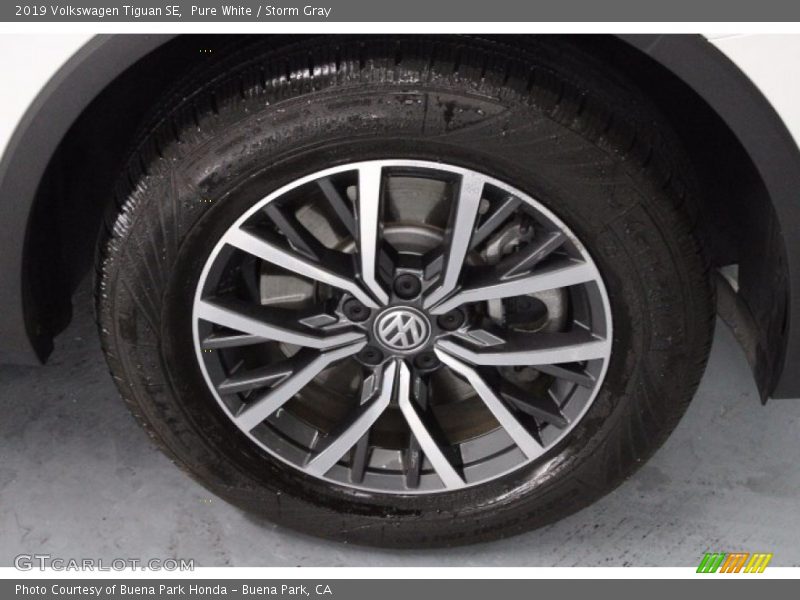 Pure White / Storm Gray 2019 Volkswagen Tiguan SE