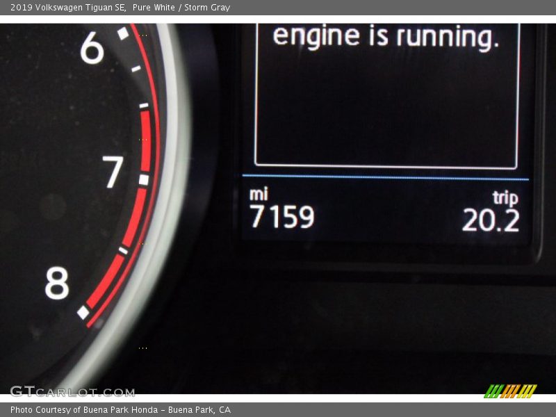 Pure White / Storm Gray 2019 Volkswagen Tiguan SE