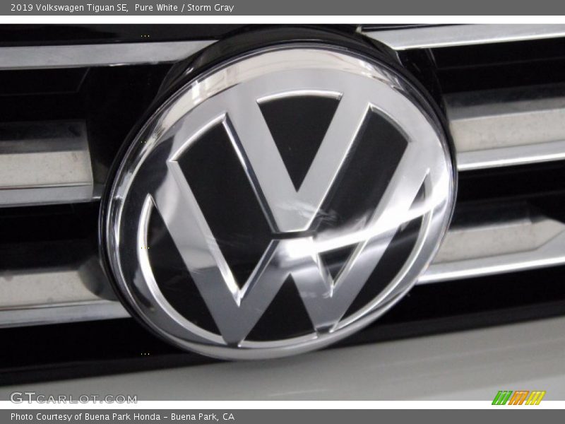 Pure White / Storm Gray 2019 Volkswagen Tiguan SE