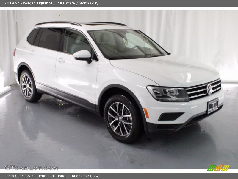 Pure White / Storm Gray 2019 Volkswagen Tiguan SE