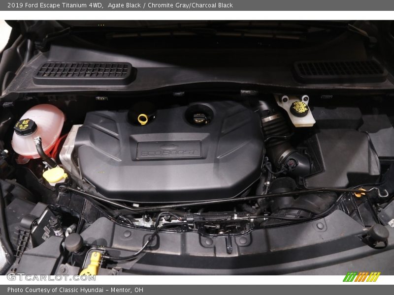 Agate Black / Chromite Gray/Charcoal Black 2019 Ford Escape Titanium 4WD