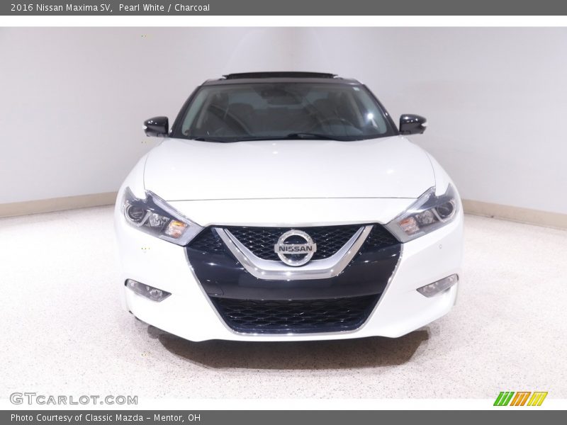 Pearl White / Charcoal 2016 Nissan Maxima SV