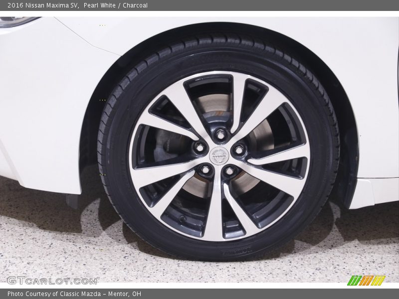 Pearl White / Charcoal 2016 Nissan Maxima SV