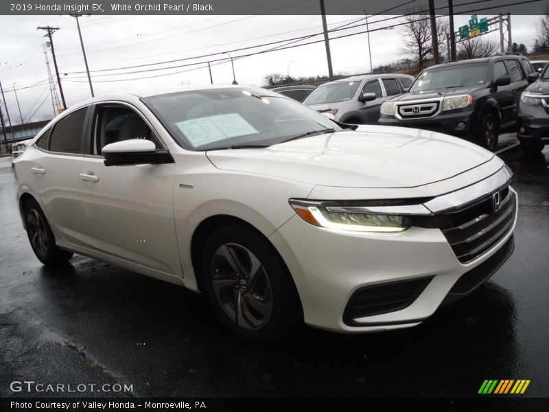 White Orchid Pearl / Black 2019 Honda Insight EX
