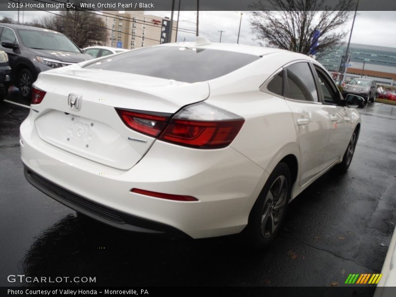 White Orchid Pearl / Black 2019 Honda Insight EX