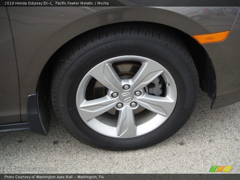 Pacific Pewter Metallic / Mocha 2019 Honda Odyssey EX-L